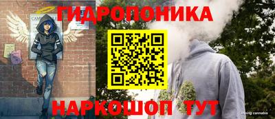 2c-b Новозыбков