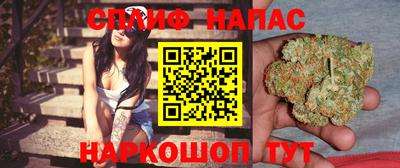 2c-b Новозыбков
