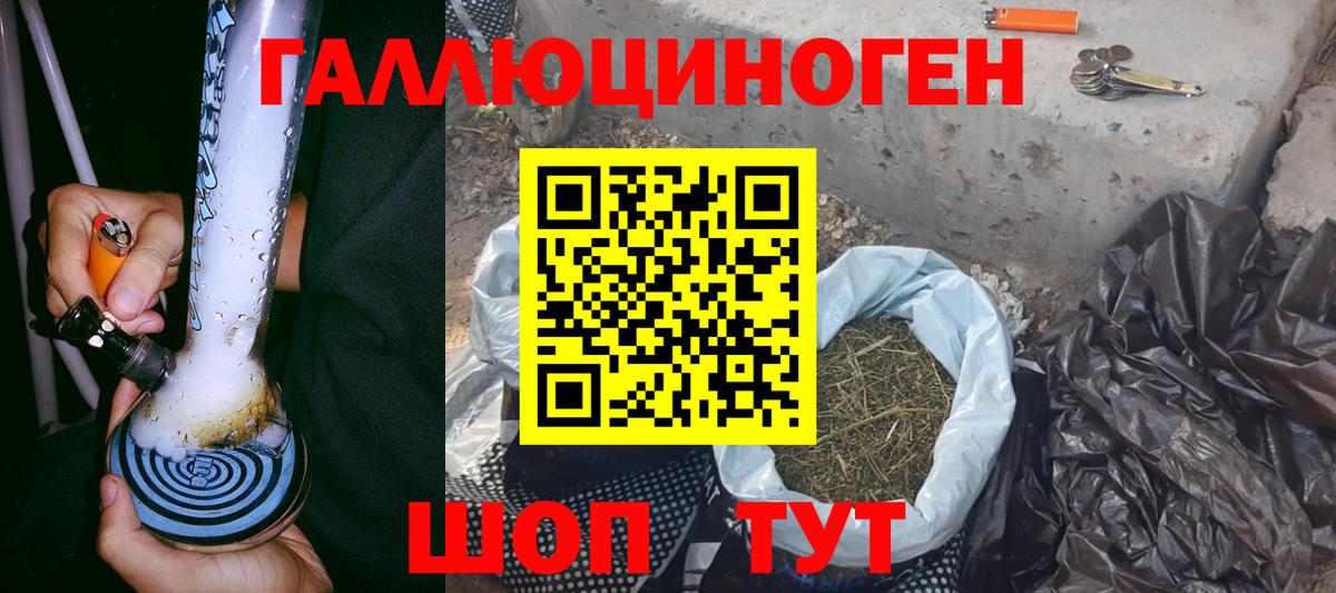 Галлюциногенные грибы Psilocybine cubensis Новокуйбышевск
