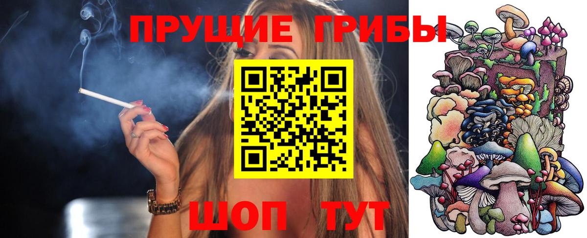 Галлюциногенные грибы мухоморы  Псилоцибиновые грибы мицелий  Новокуйбышевск  Вход с VPN 